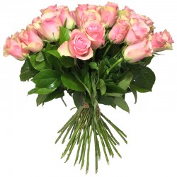 Bouquet de Roses rose - Place O Fleurs
