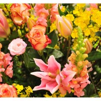 Catégorie Bouquets - Place O Fleurs : Bouquet de Roses rose , Bouquet de Roses Rouge , Bouquet de Roses Rouge & Rose , Bouque...